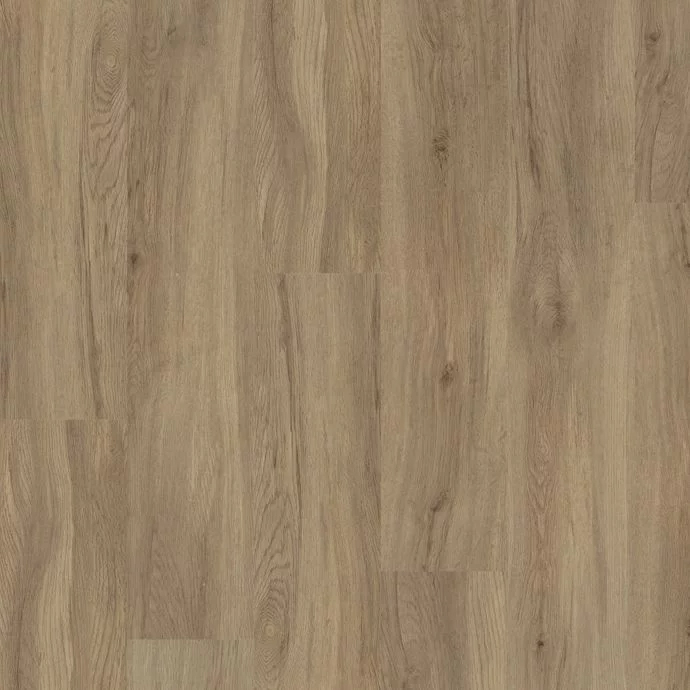 Coastal Driftwood 4453