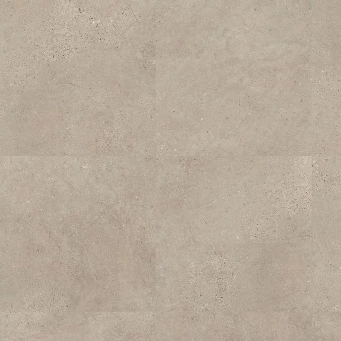 Fossil Limestone 4537