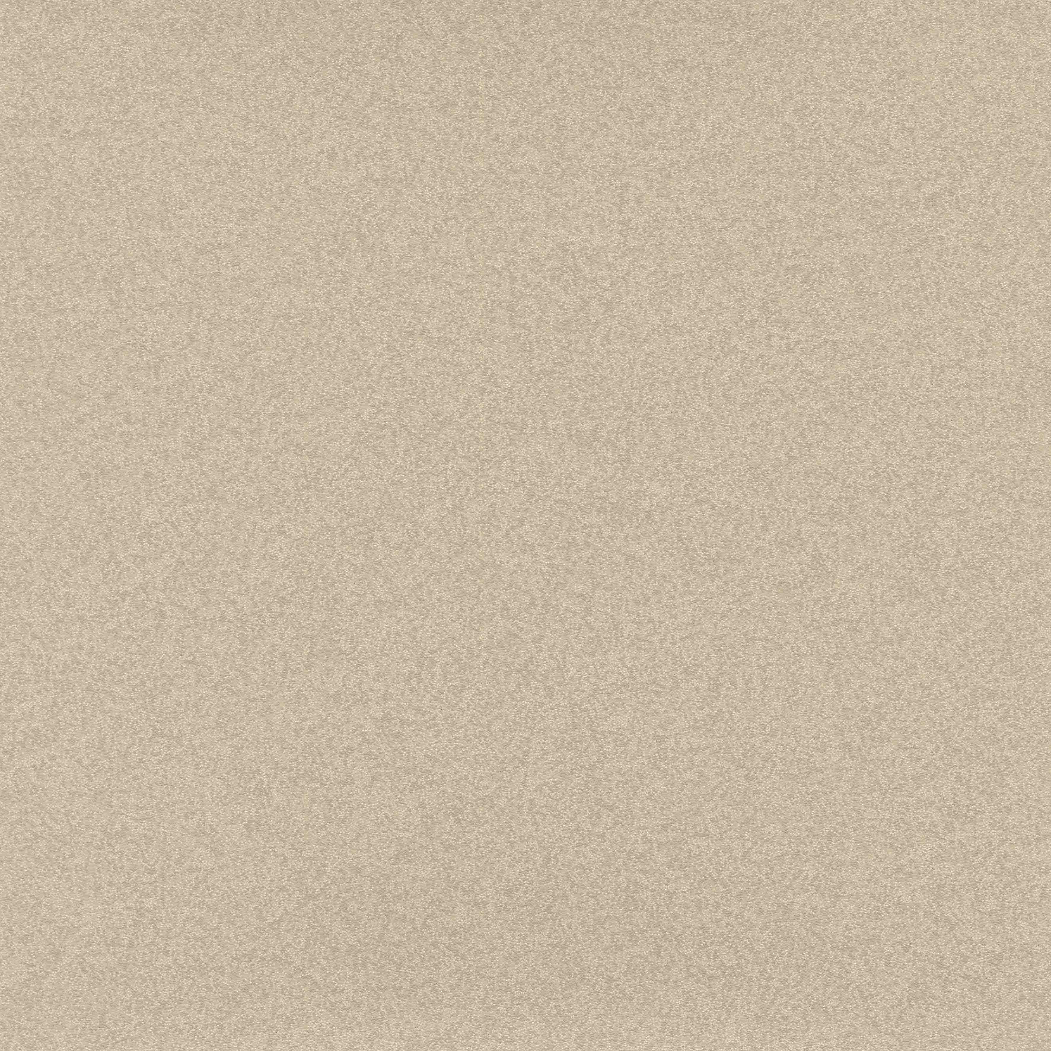 Shingle Beach 6282